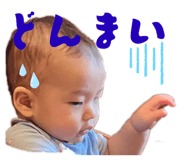 798411737