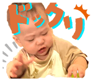 798411738