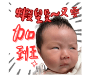 798419524