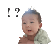 798421102