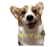 798437012
