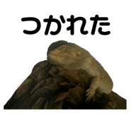 798440425