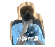 798444177