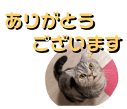 798446674
