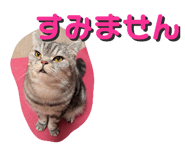 798446692