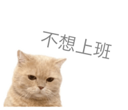798448127