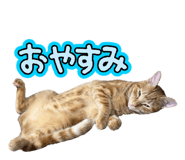 798451538