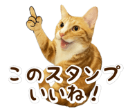 798451545