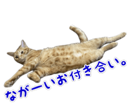 798451558