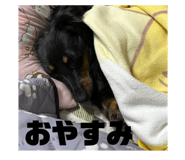 798451570