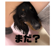 798451576