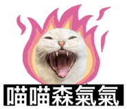 798475425