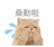 798476729