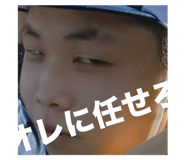 798488062