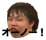 798488076