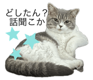 798492521