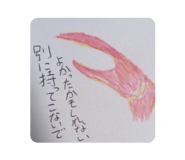 798496226