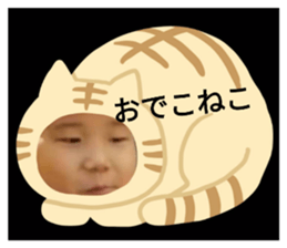 798502040