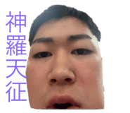 798509042