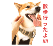 798509123