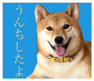 798509126