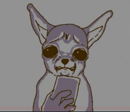 798509588