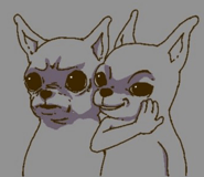 798509590