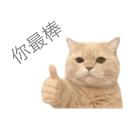 798517964