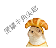 798518866