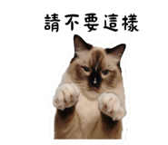 798520730
