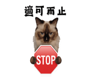 798520744