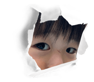 798529010