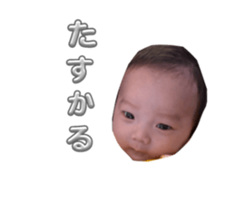 798529193