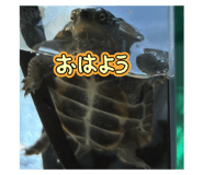 798529537