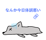 798539204