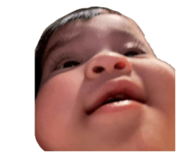 798540086