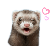 798547991