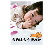 798552946