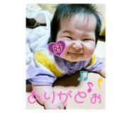 798552954