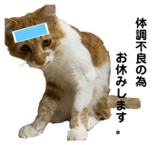 798557787