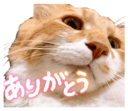 798557792