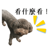 798560975