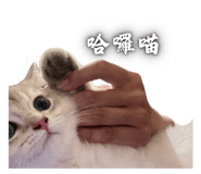 798561035