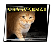 798571325