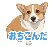 798575662