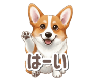 798575669