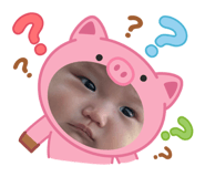 798578210