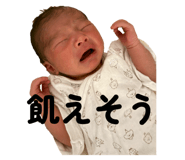 798593948