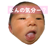 798593954