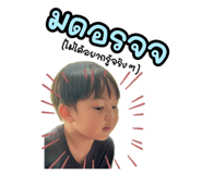 798598774
